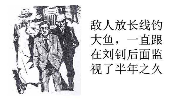 61.jpg
